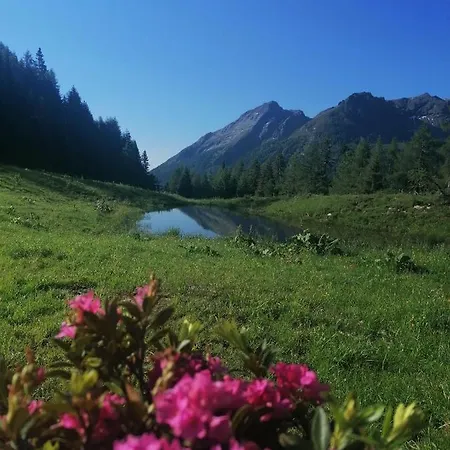 Gfrerer Althofen 아파트 *