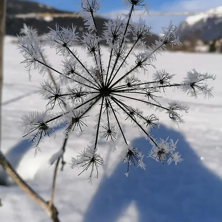 Gfrerer Althofen 마리아프파르