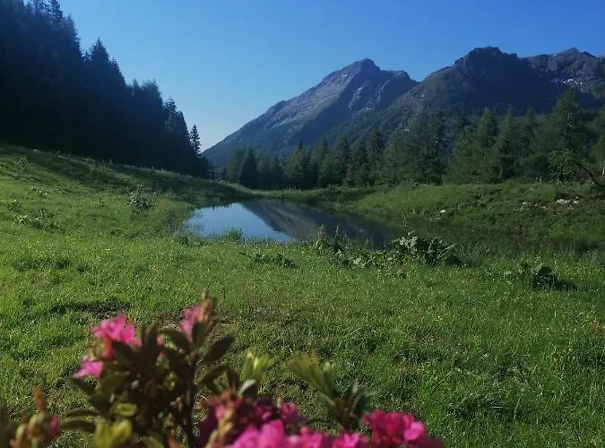 Gfrerer Althofen Daire *