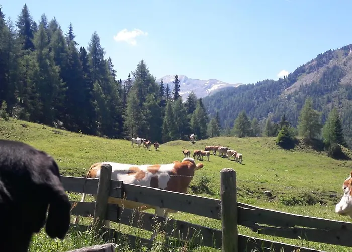 Daire Gfrerer Althofen Mariapfarr