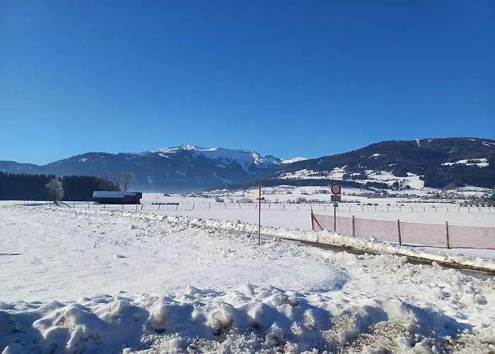 Gfrerer Althofen Daire Mariapfarr