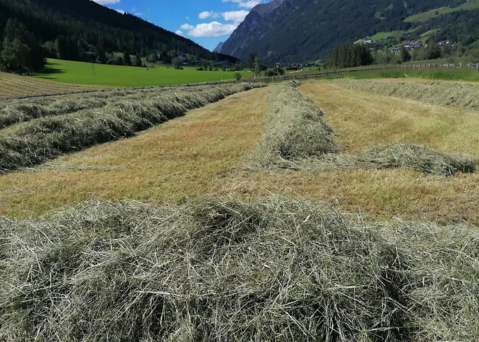 Daire Gfrerer Althofen Mariapfarr