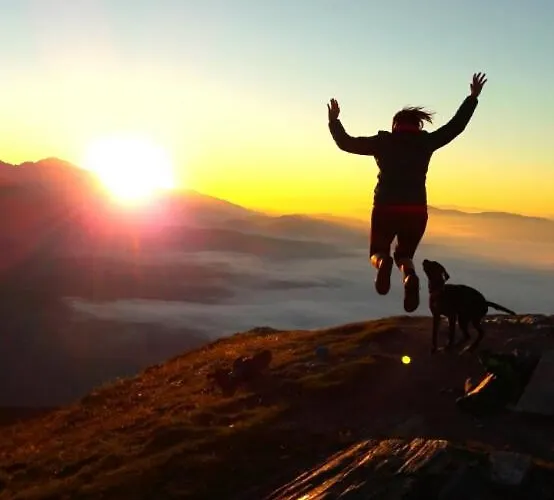 Daire Gfrerer Althofen