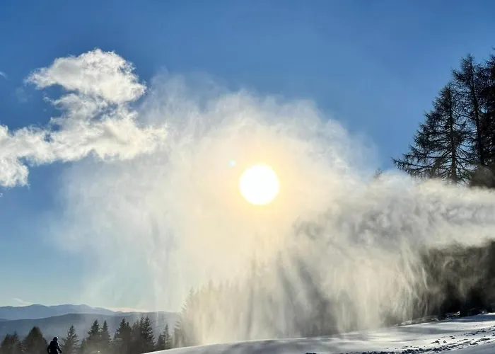 Gfrerer Althofen Daire